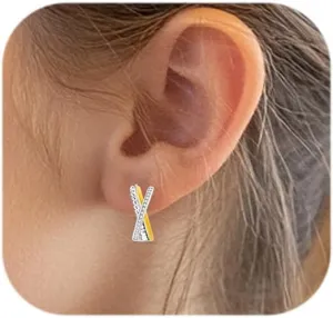 Double Hoop for 1 Hole 14K Gold Plated Earrings Dainty Cubic Zirconia Small Hoops Women Trendy Jewelry Faux Double Hoop Earring Twist Helix Piercing