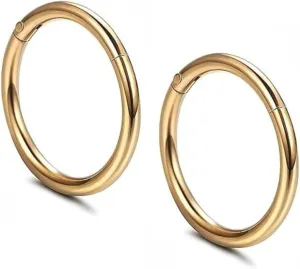 Hypoallergenic Nose Rings 18G 316l Surgical Steel Septum Jewellery Hinged Segment Ring Body Piercing Nose Hoop Lip Rings Nose Helix Cartilage Rook Earrings For Men Women Unisex - Silver Gold Black