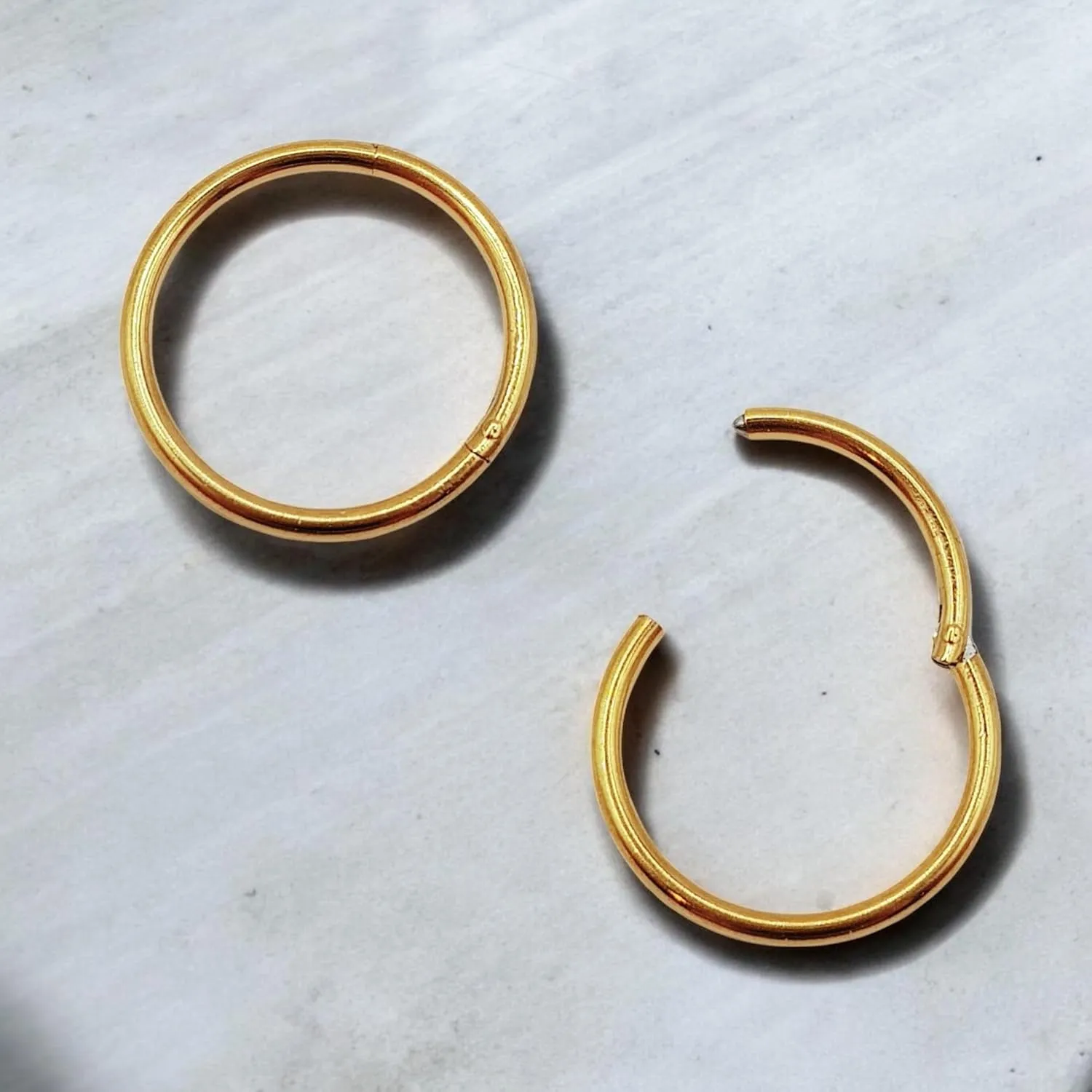 Hypoallergenic Nose Rings 18G 316l Surgical Steel Septum Jewellery Hinged Segment Ring Body Piercing Nose Hoop Lip Rings Nose Helix Cartilage Rook Earrings For Men Women Unisex - Silver Gold Black
