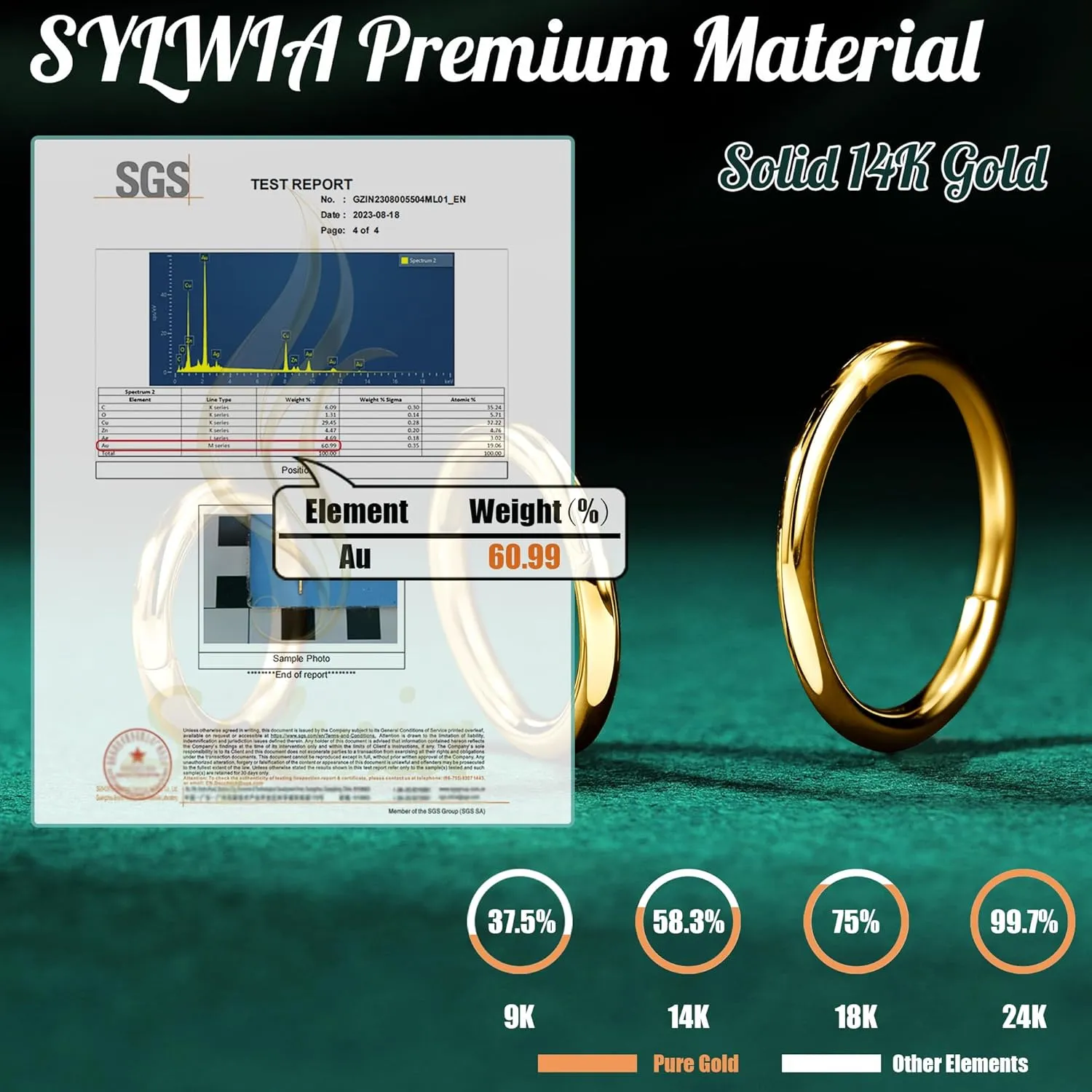 SYLWIA 14K Solid Gold 18g/16g Nose Rings, 6/8/10mm Hinged Segment Septum Rings, Real Gold Lip Tragus Helix Cartilage Conch Earring Hoops Piercing for Women Men