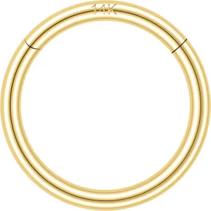 SYLWIA 14K Solid Gold 18g/16g Nose Rings, 6/8/10mm Hinged Segment Septum Rings, Real Gold Lip Tragus Helix Cartilage Conch Earring Hoops Piercing for Women Men