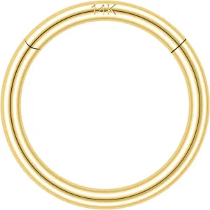 SYLWIA 14K Solid Gold 18g/16g Nose Rings, 6/8/10mm Hinged Segment Septum Rings, Real Gold Lip Tragus Helix Cartilage Conch Earring Hoops Piercing for Women Men