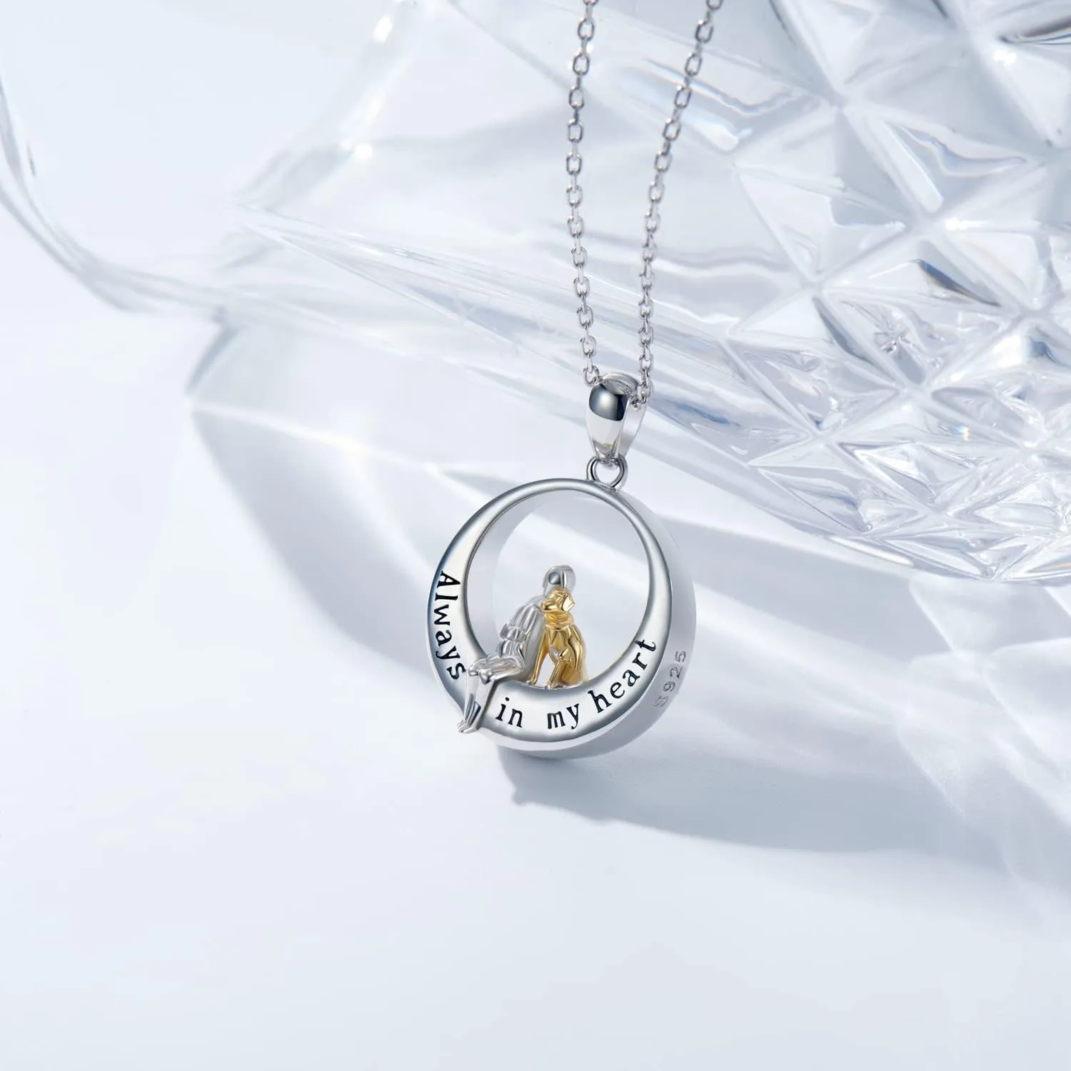 Urn Necklace for Ashes Sterling Silver Urn Necklace for Human Ashes Cremation Necklace Keepsake Memorial Jewelry for Ashes for Women Necklaces for Ashes of Loved Ones