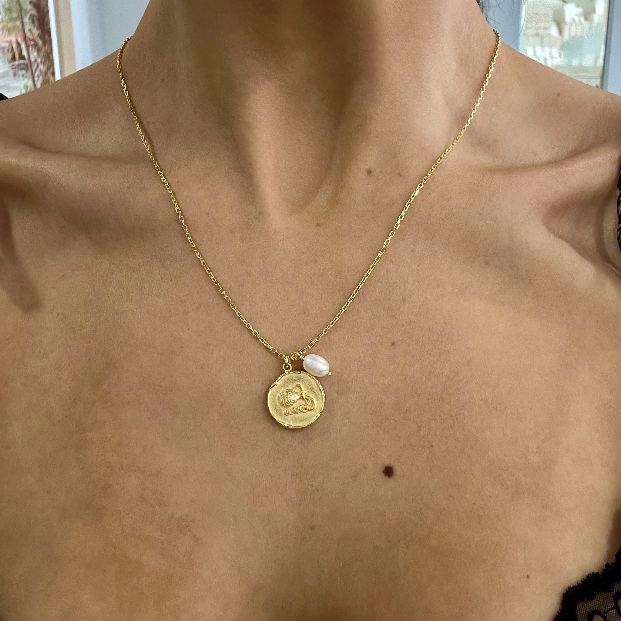 Zodiac Necklace Aquarius Gold